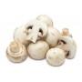 BUTTON MUSHROOMS, REGULAR