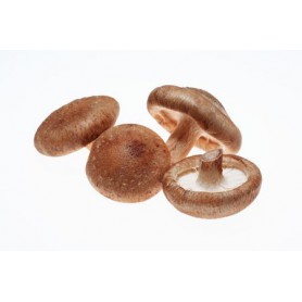 MUSHROOMS - SHIITAKE