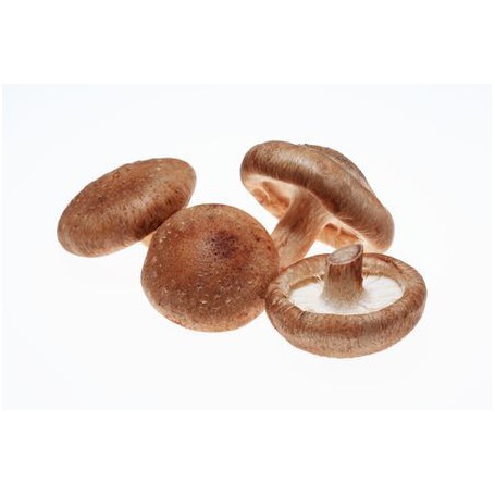 MUSHROOMS - SHIITAKE