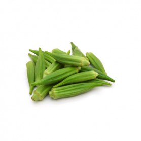 OKRA REGULAR GREEN