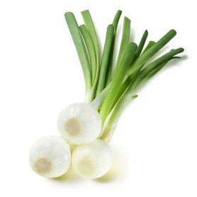ONIONS BULB