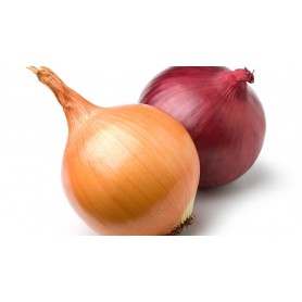 ONIONS