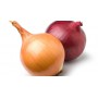 RETAILER ASSIGNED ONIONS