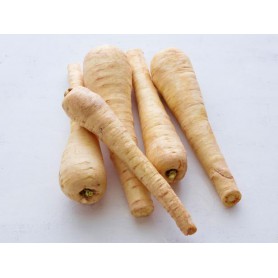 PARSNIP