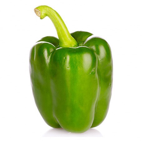 BELL, FIELD GROWN PEPPERS (CAPSICUMS)