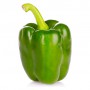 BELL, FIELD GROWN PEPPERS (CAPSICUMS)