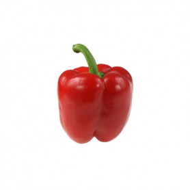 BELL GREENHOUSE PEPPERS (CAPSICUMS)