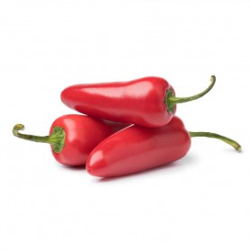 JALAPENO PEPPERS (CAPSICUMS)
