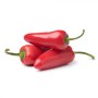JALAPENO PEPPERS (CAPSICUMS)