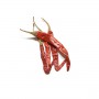 LONG HOT PEPPERS (CAPSICUMS)