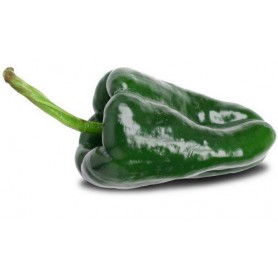 PASILLA PEPPERS (CAPSICUMS)