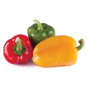 PEPPERS (CAPSICUMS)