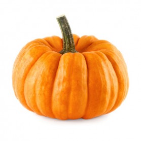 MINI PUMPKIN
