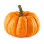 MINI PUMPKIN