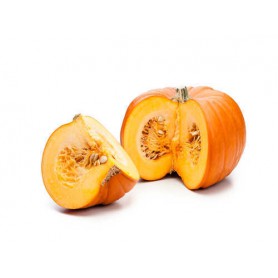 PUMPKIN REGULAR