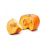 PUMPKIN REGULAR