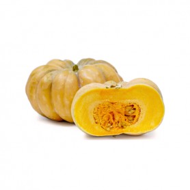 RETAILER ASSIGNED PUMPKIN