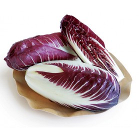 RADICCHIO