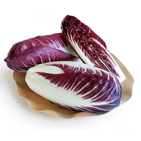 RADICCHIO