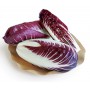 RADICCHIO