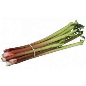 RHUBARB REGULAR