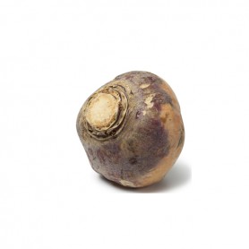 RUTABAGAS (SWEDE) REGULAR