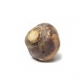 RUTABAGAS (SWEDE) REGULAR