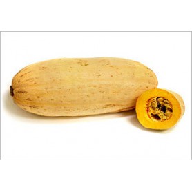 SQUASH BANANA