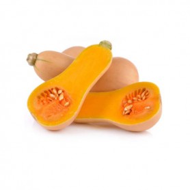 SQUASH BUTTERNUT