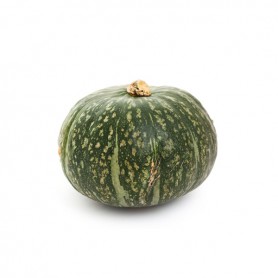 SQUASH KABOCHA