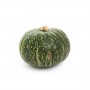 SQUASH KABOCHA