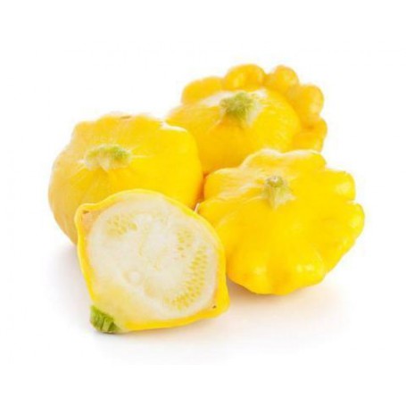 PATTY PAN/SUMMER SQUASH