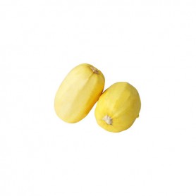 SPAGHETTI/VEGETABLE SPAGHETTI SQUASH