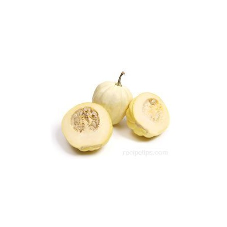 SQUASH WHITE