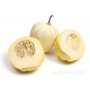 SQUASH WHITE