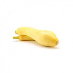 SQUASH YELLOW
