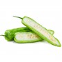 BITTER GOURD, FOO QUA BITTER MELON/BITTE