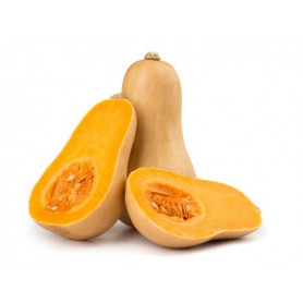 SQUASH YELLOW