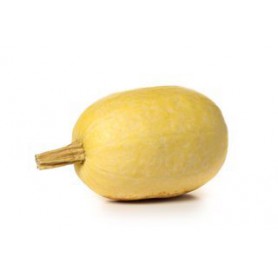 RETAILER ASSIGNED SQUASH
