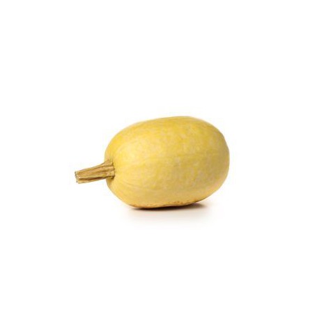 RETAILER ASSIGNED SQUASH