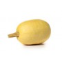 RETAILER ASSIGNED SQUASH