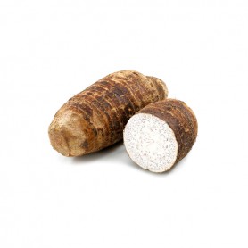 TARO ROOT (DASHEEN)