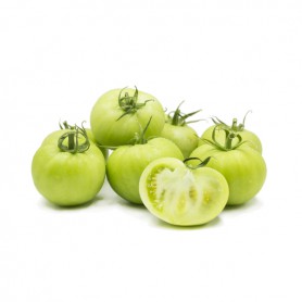 TOMATOES