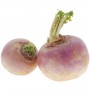 TURNIP - BUNCH/BANDED