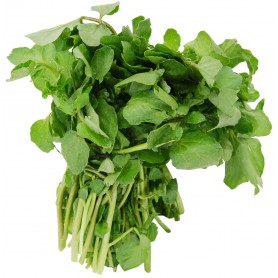 WATERCRESS
