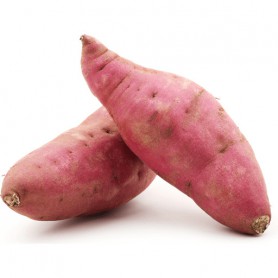 SWEET POTATO/KUMARA RED