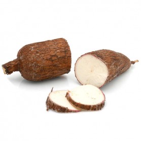 YUCCA ROOT
