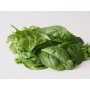 SPINACH CHEF READY