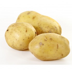 POTATO YUKON 5#