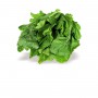 VIP CHOPPED TURNIP GREENS/TOM